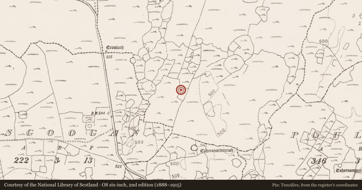 Ordnance Survey six-inch map, 2nd edition (1888–1915) covering the location of Ringfort - cashel, Gleninsheen, County Clare, with a pin at the register's coordinates