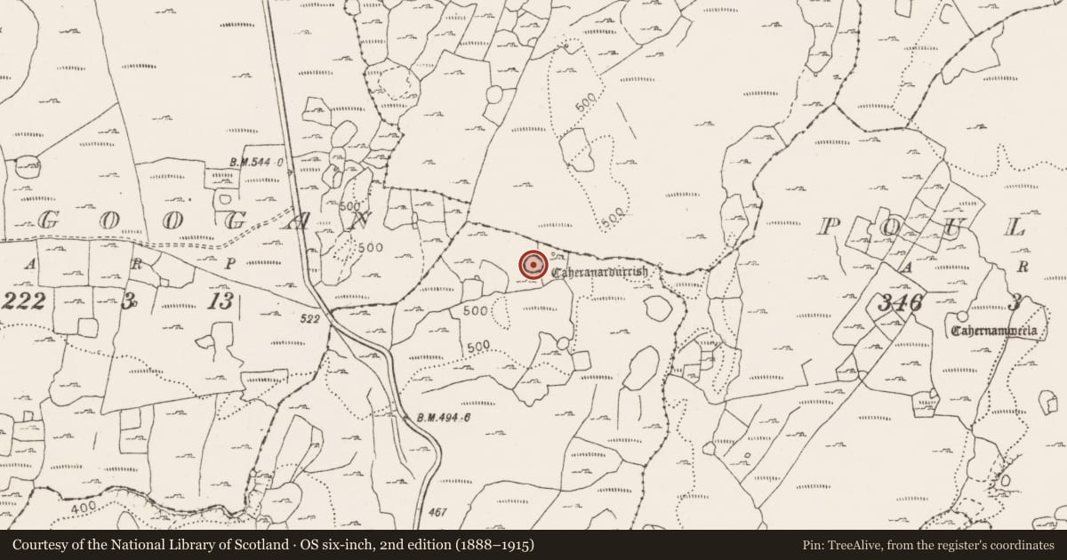 Ordnance Survey six-inch map, 2nd edition (1888–1915) covering the location of Megalithic structure, Glensleade, County Clare, with a pin at the register's coordinates