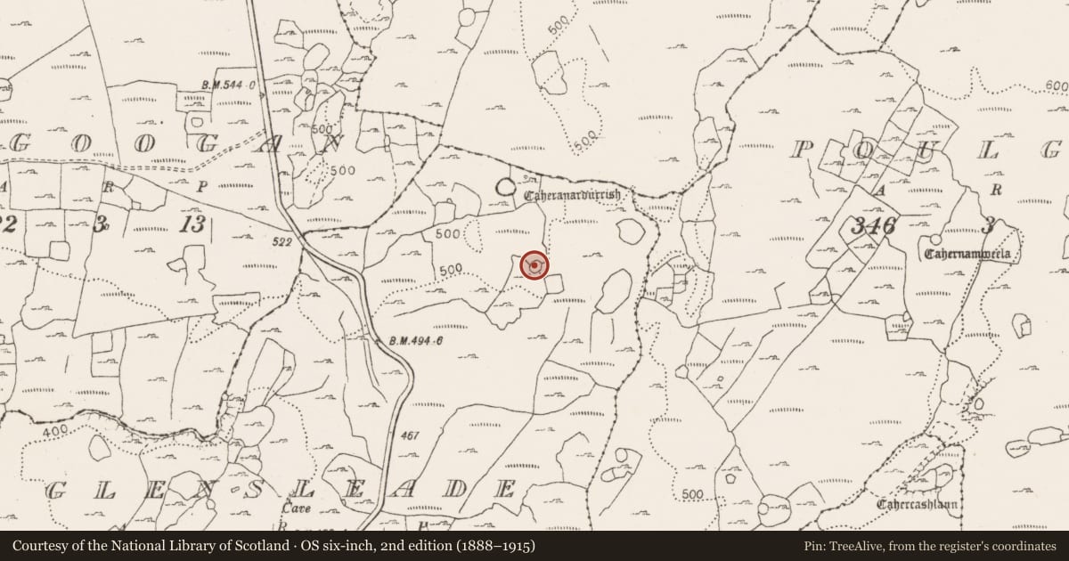 Ordnance Survey six-inch map, 2nd edition (1888–1915) covering the location of Ringfort - cashel, Glensleade, County Clare, with a pin at the register's coordinates