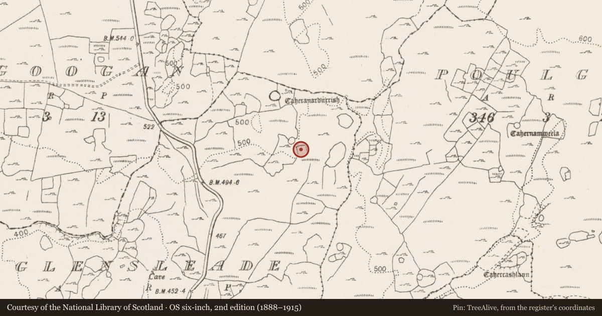 Ordnance Survey six-inch map, 2nd edition (1888–1915) covering the location of Ringfort - cashel, Glensleade, County Clare, with a pin at the register's coordinates
