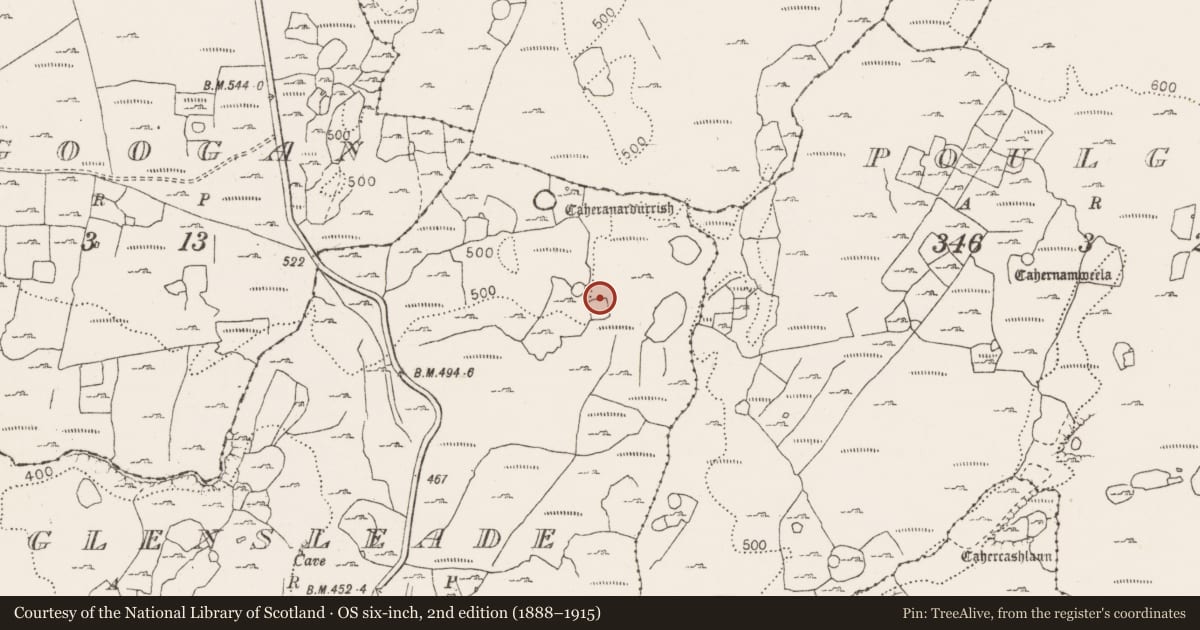 Ordnance Survey six-inch map, 2nd edition (1888–1915) covering the location of Hut site, County Clare, with a pin at the register's coordinates