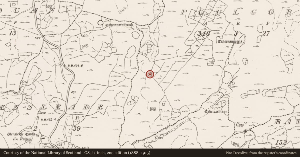 Ordnance Survey six-inch map, 2nd edition (1888–1915) covering the location of Enclosure, Poulgorm, County Clare, with a pin at the register's coordinates