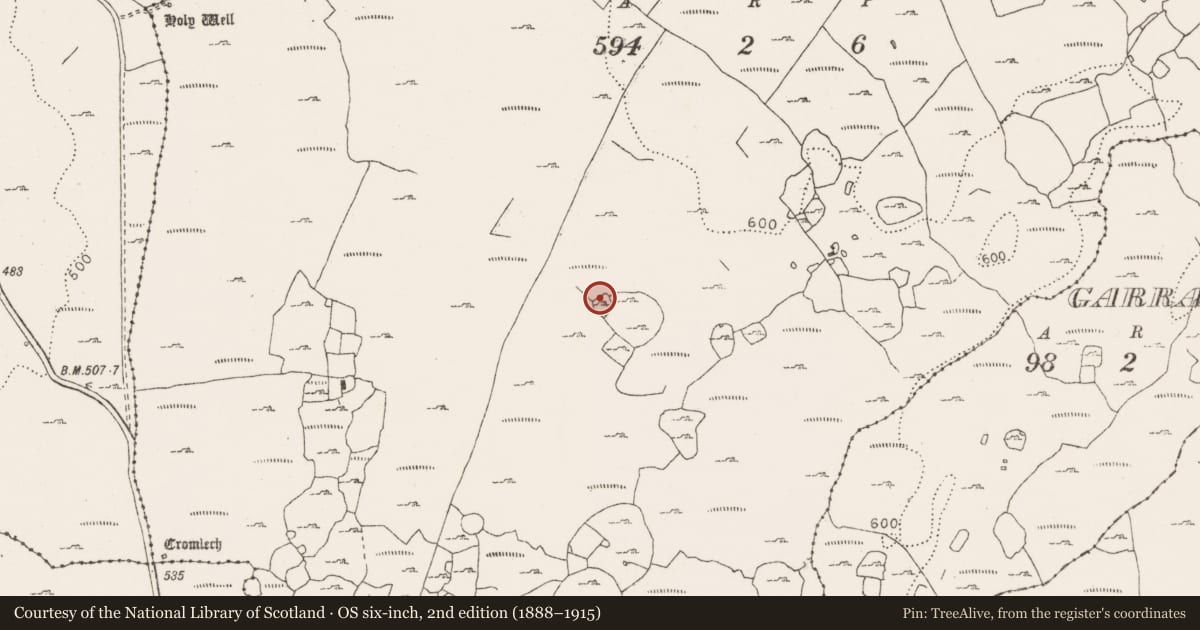 Ordnance Survey six-inch map, 2nd edition (1888–1915) covering the location of Enclosure, Gleninsheen, County Clare, with a pin at the register's coordinates
