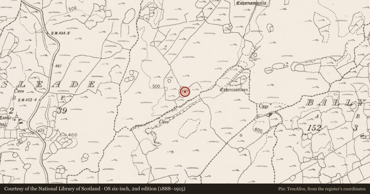 Ordnance Survey six-inch map, 2nd edition (1888–1915) covering the location of Enclosure, Poulgorm, County Clare, with a pin at the register's coordinates