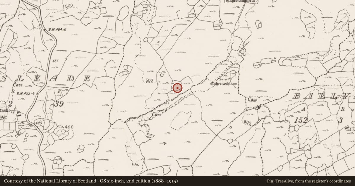 Ordnance Survey six-inch map, 2nd edition (1888–1915) covering the location of Hut site, Poulgorm, County Clare, with a pin at the register's coordinates