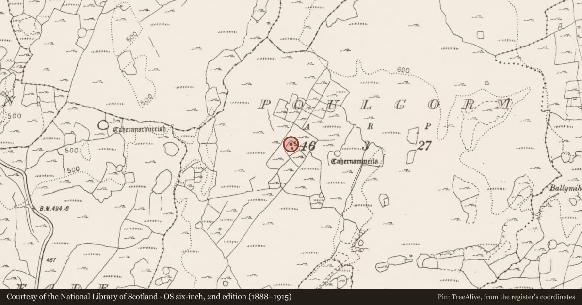 Ordnance Survey six-inch map, 2nd edition (1888–1915) covering the location of Ringfort - cashel, Poulgorm, County Clare, with a pin at the register's coordinates
