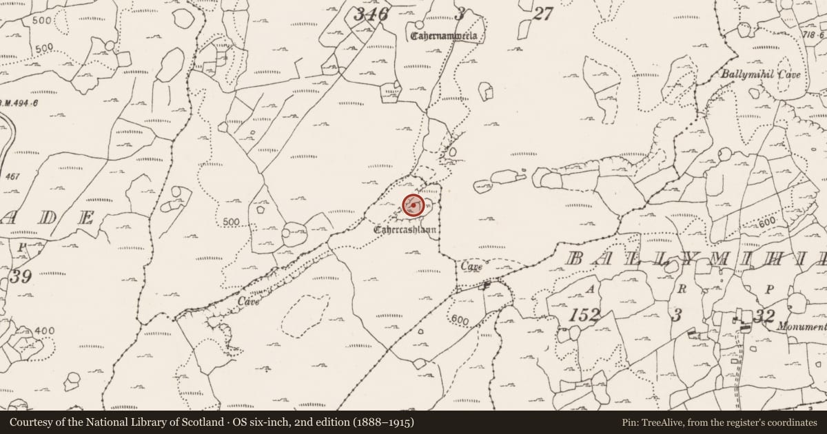 Ordnance Survey six-inch map, 2nd edition (1888–1915) covering the location of Promontory fort - inland, Poulnabrone, County Clare, with a pin at the register's coordinates