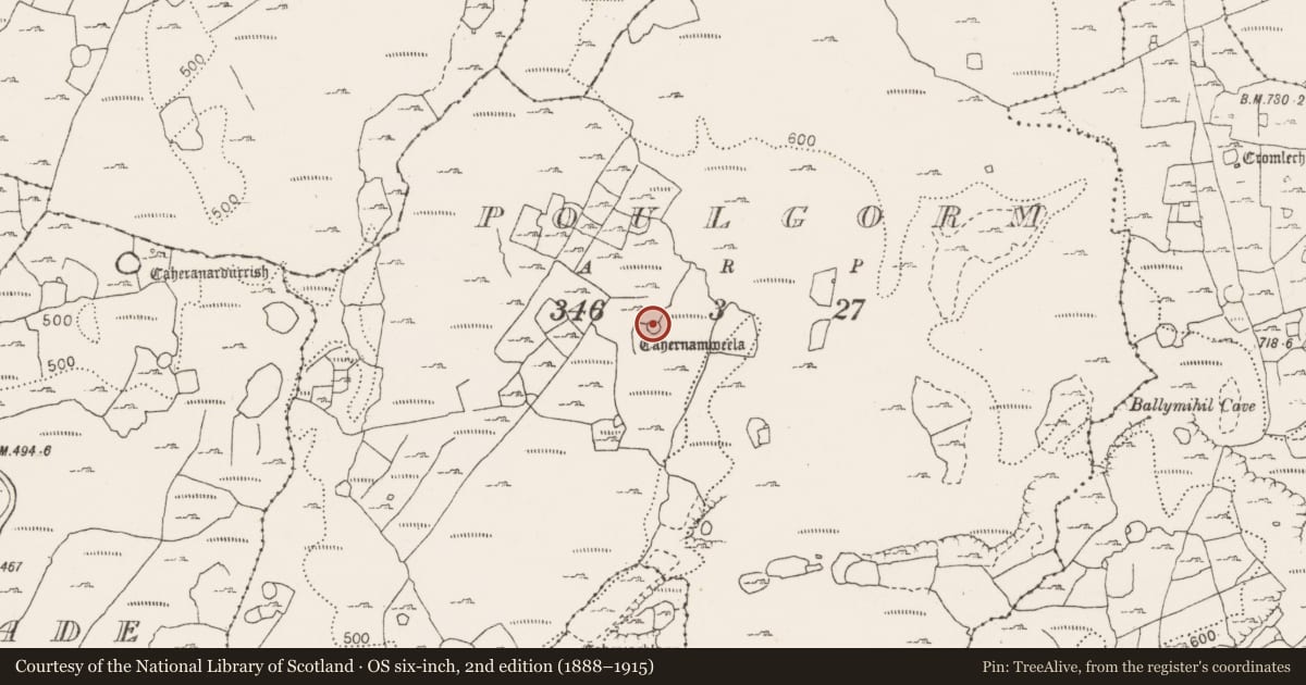 Ordnance Survey six-inch map, 2nd edition (1888–1915) covering the location of Ringfort - cashel, Poulgorm, County Clare, with a pin at the register's coordinates