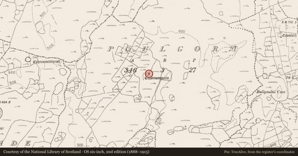 Ordnance Survey six-inch map, 2nd edition (1888–1915) covering the location of Hut site, Poulgorm, County Clare, with a pin at the register's coordinates