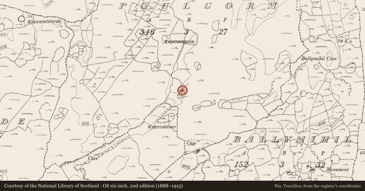 Ordnance Survey six-inch map, 2nd edition (1888–1915) covering the location of Enclosure, Poulgorm, County Clare, with a pin at the register's coordinates