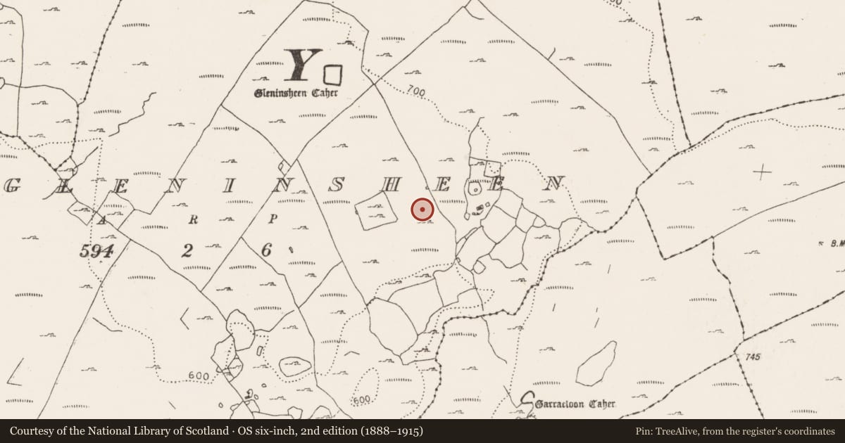 Ordnance Survey six-inch map, 2nd edition (1888–1915) covering the location of Enclosure, Gleninsheen, County Clare, with a pin at the register's coordinates
