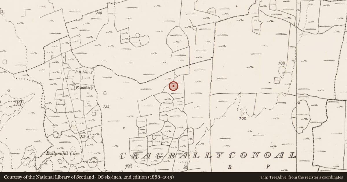 Ordnance Survey six-inch map, 2nd edition (1888–1915) covering the location of Field system, County Clare, with a pin at the register's coordinates