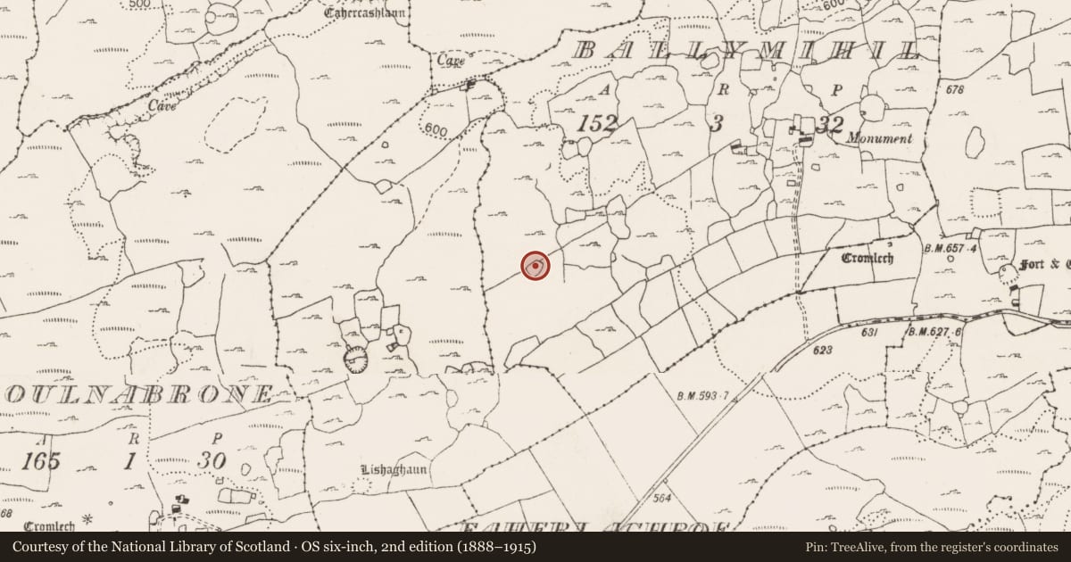 Ordnance Survey six-inch map, 2nd edition (1888–1915) covering the location of Ringfort - cashel, Ballymihil, County Clare, with a pin at the register's coordinates
