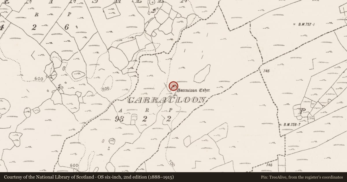 Ordnance Survey six-inch map, 2nd edition (1888–1915) covering the location of Ringfort - cashel, Garracloon, County Clare, with a pin at the register's coordinates
