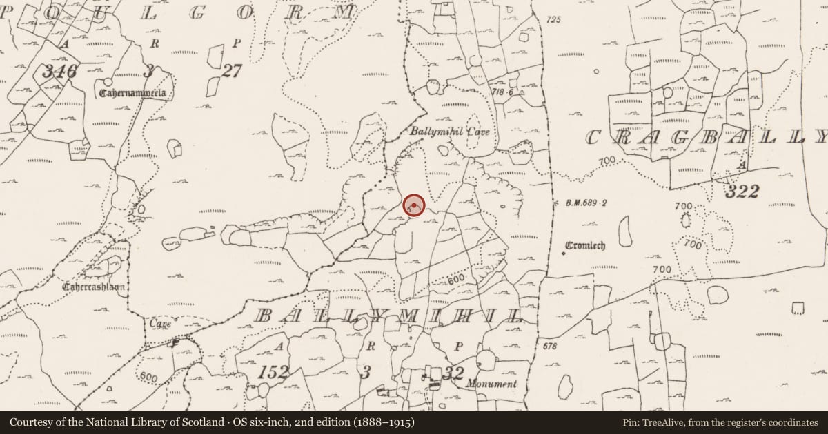 Ordnance Survey six-inch map, 2nd edition (1888–1915) covering the location of Ringfort - cashel, Ballymihil, County Clare, with a pin at the register's coordinates