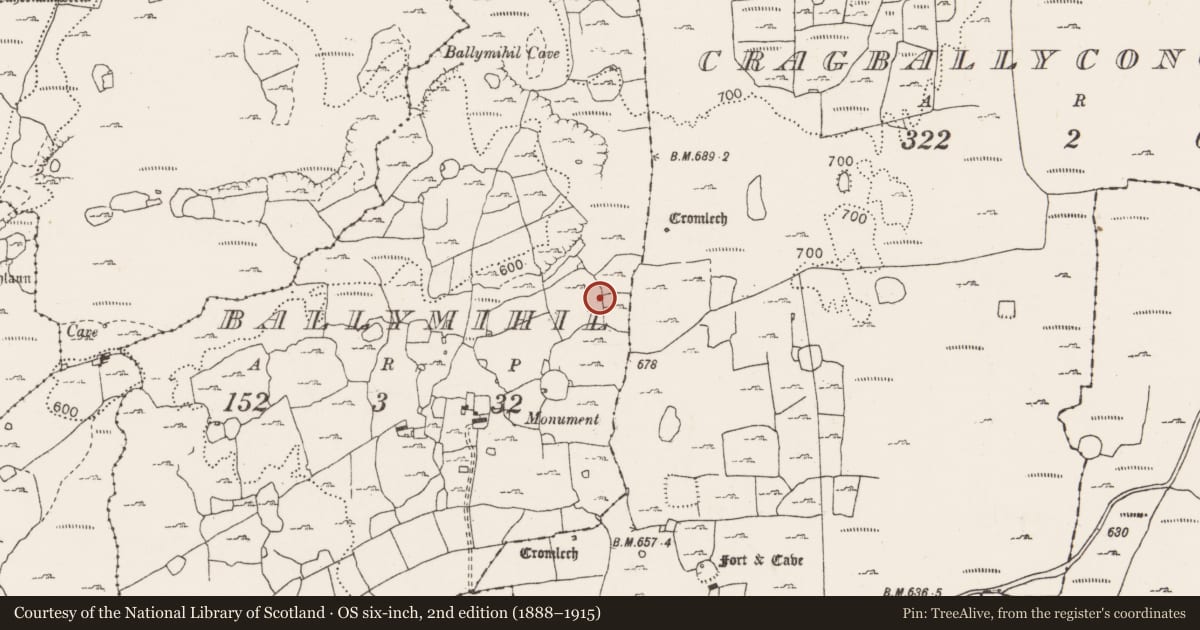 Ordnance Survey six-inch map, 2nd edition (1888–1915) covering the location of Fulacht fia, Ballymihil, County Clare, with a pin at the register's coordinates