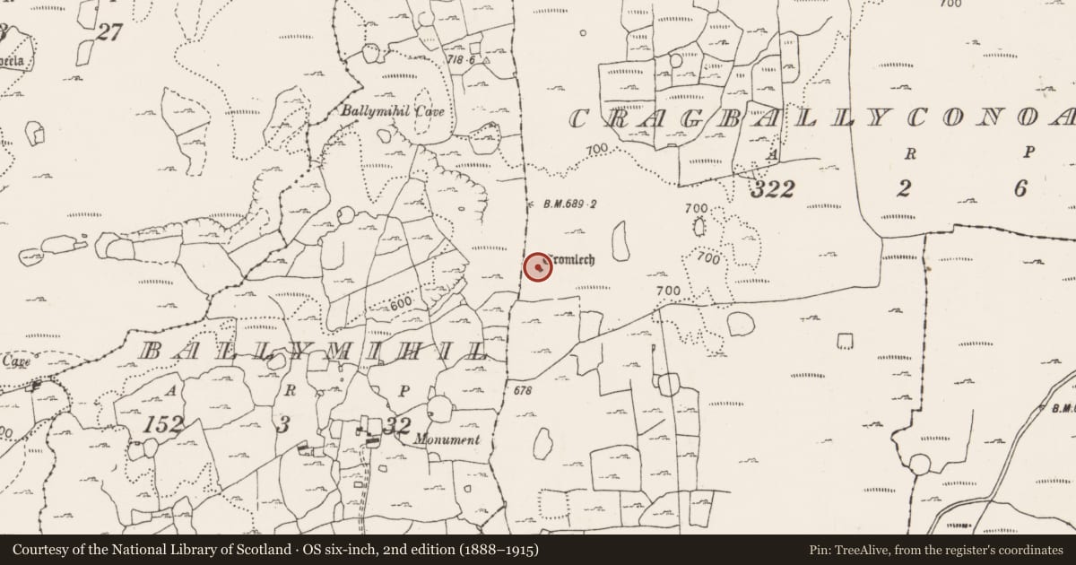 Ordnance Survey six-inch map, 2nd edition (1888–1915) covering the location of Megalithic tomb - wedge tomb, Cragballyconoal, County Clare, with a pin at the register's coordinates