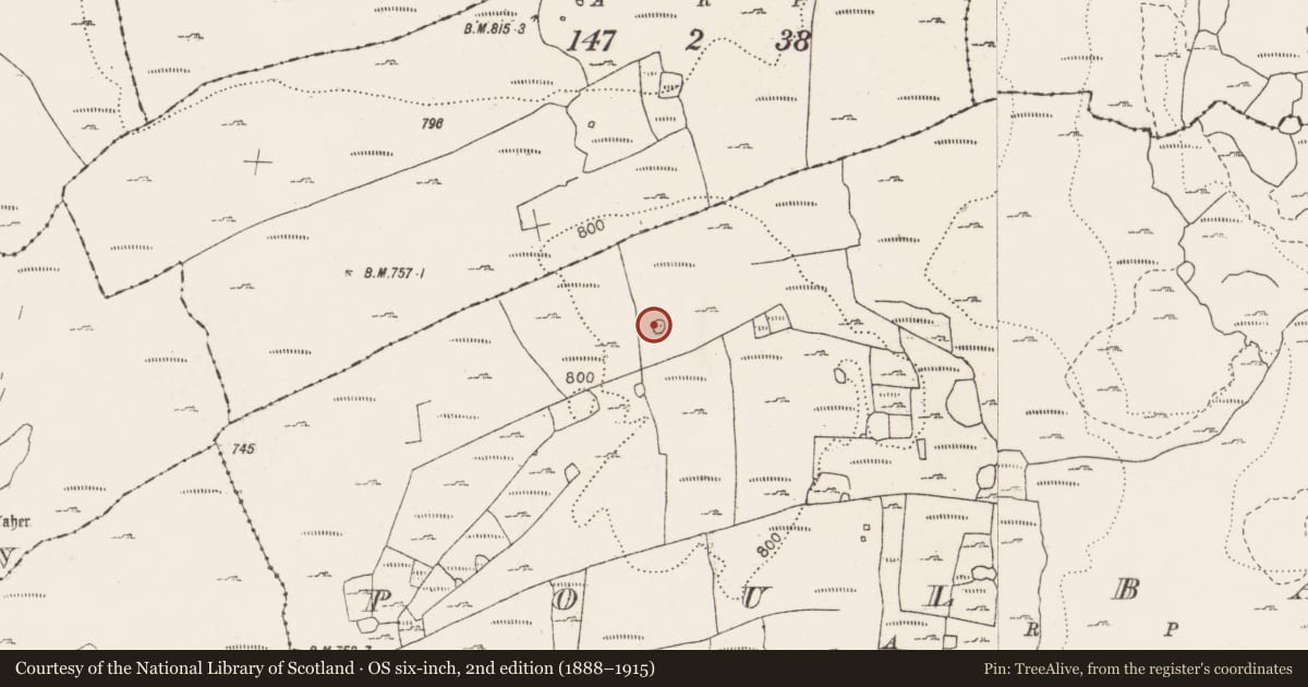 Ordnance Survey six-inch map, 2nd edition (1888–1915) covering the location of Enclosure, Poulbaun, County Clare, with a pin at the register's coordinates