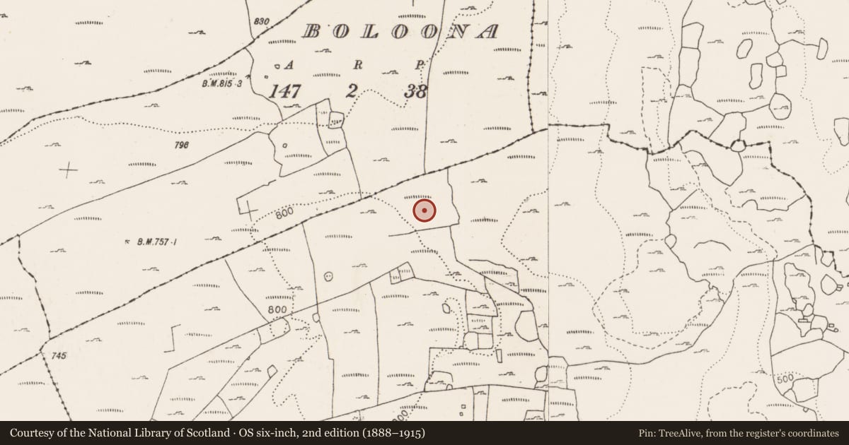 Ordnance Survey six-inch map, 2nd edition (1888–1915) covering the location of Megalithic tomb - wedge tomb, Poulbaun, County Clare, with a pin at the register's coordinates
