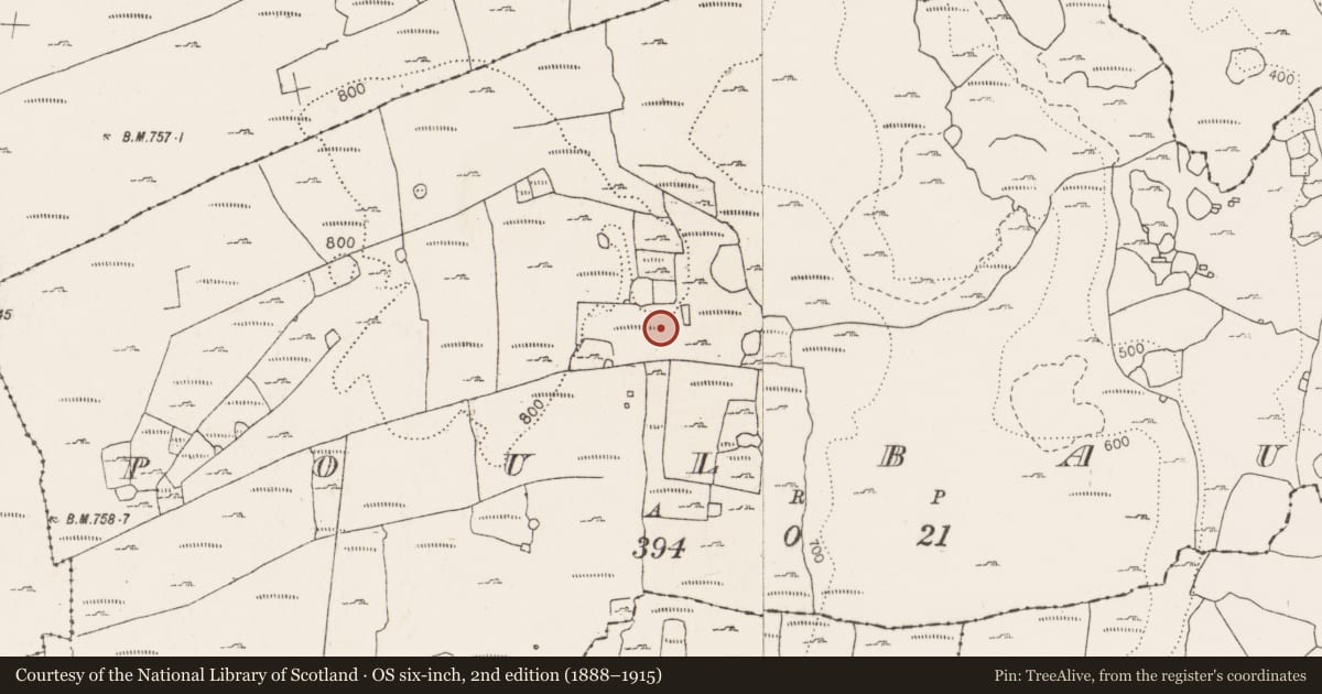 Ordnance Survey six-inch map, 2nd edition (1888–1915) covering the location of Cist, Poulbaun, County Clare, with a pin at the register's coordinates