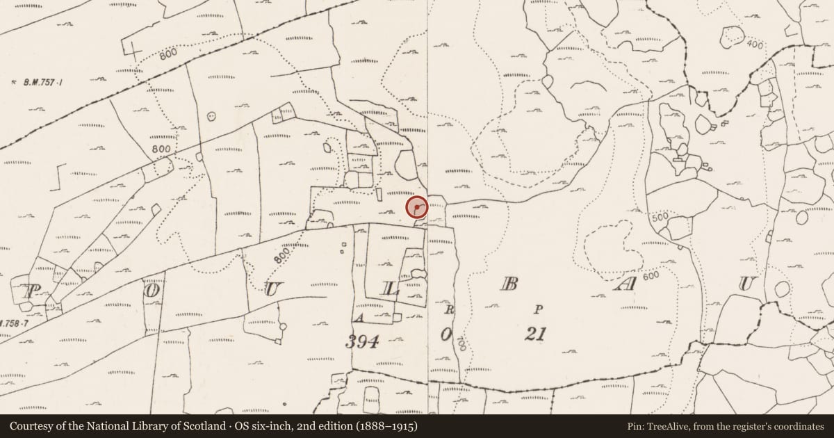 Ordnance Survey six-inch map, 2nd edition (1888–1915) covering the location of Ringfort - cashel, Poulbaun, County Clare, with a pin at the register's coordinates