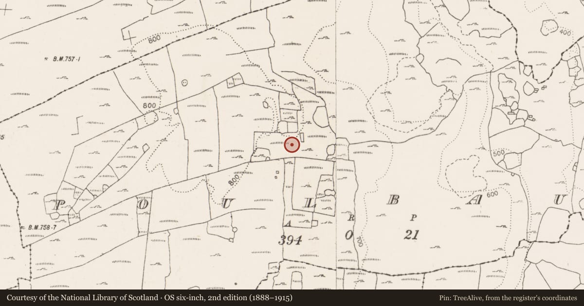 Ordnance Survey six-inch map, 2nd edition (1888–1915) covering the location of Cist, Poulbaun, County Clare, with a pin at the register's coordinates