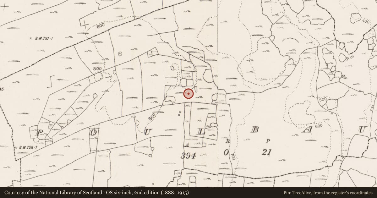 Ordnance Survey six-inch map, 2nd edition (1888–1915) covering the location of Cairn - unclassified, Poulbaun, County Clare, with a pin at the register's coordinates