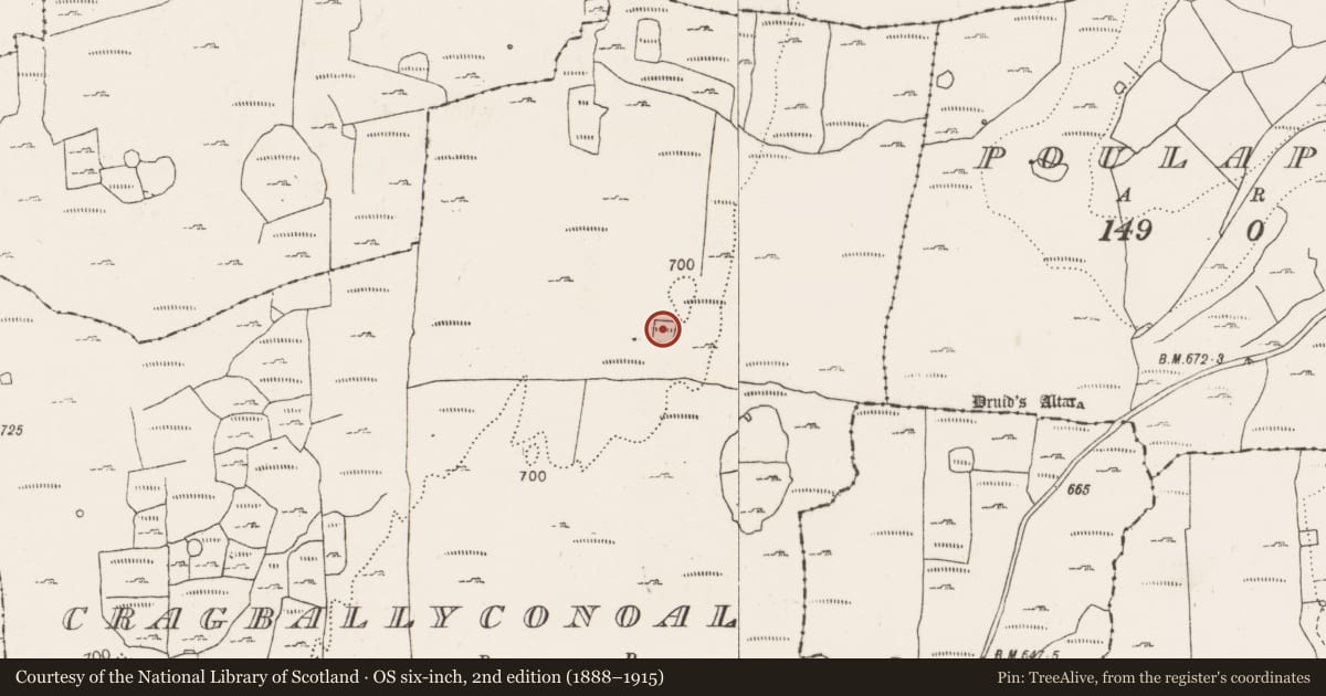 Ordnance Survey six-inch map, 2nd edition (1888–1915) covering the location of Ringfort - cashel, Cragballyconoal, County Clare, with a pin at the register's coordinates