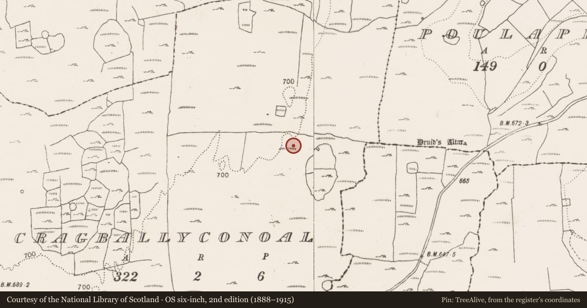 Ordnance Survey six-inch map, 2nd edition (1888–1915) covering the location of Ringfort - cashel, Cragballyconoal, County Clare, with a pin at the register's coordinates