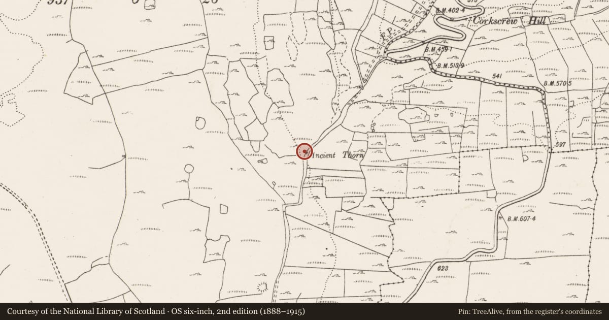 Ordnance Survey six-inch map, 2nd edition (1888–1915) covering the location of Ritual site - holy tree/bush, Gragan West, County Clare, with a pin at the register's coordinates