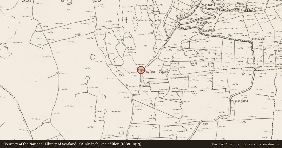 Ordnance Survey six-inch map, 2nd edition (1888–1915) covering the location of Ritual site - holy/saint's stone, Gragan West, County Clare, with a pin at the register's coordinates