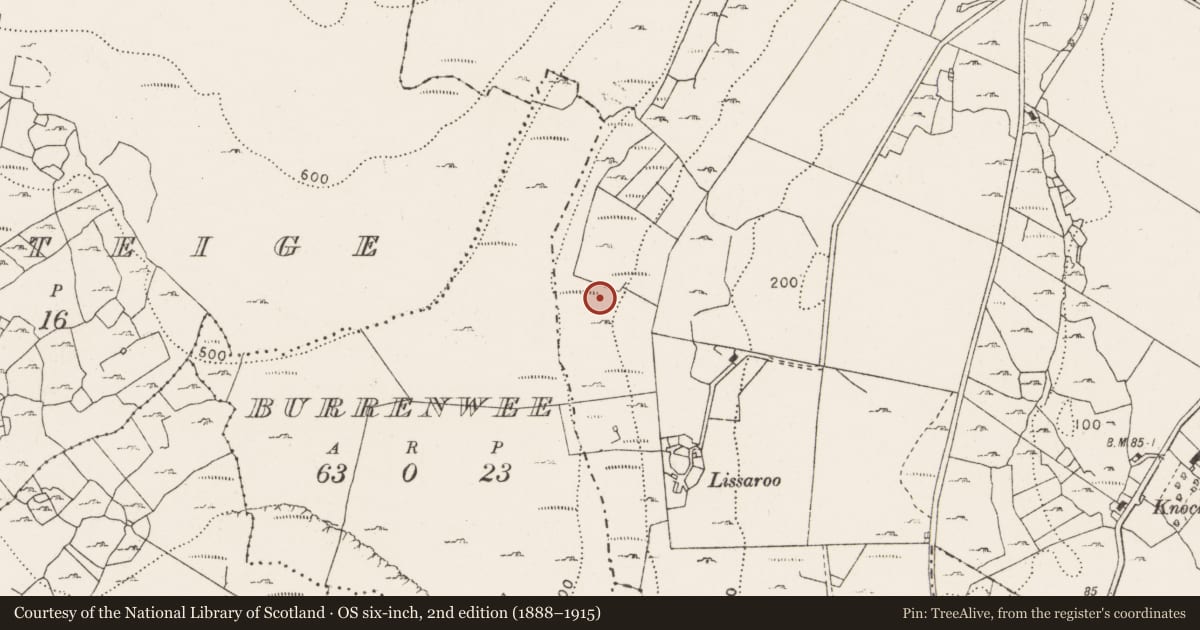 Ordnance Survey six-inch map, 2nd edition (1888–1915) covering the location of Mound, Newtown, County Clare, with a pin at the register's coordinates