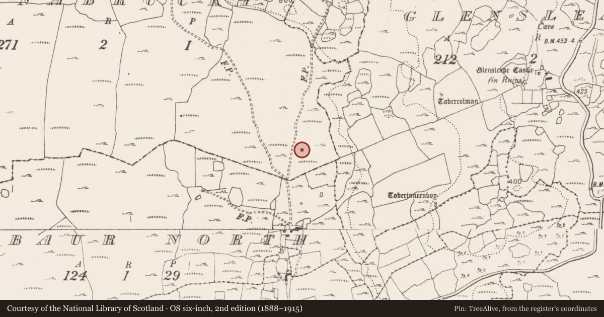 Ordnance Survey six-inch map, 2nd edition (1888–1915) covering the location of Cairn - burial cairn, Poulnabrucky, County Clare, with a pin at the register's coordinates