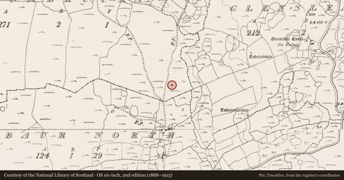 Ordnance Survey six-inch map, 2nd edition (1888–1915) covering the location of Cist, Poulnabrucky, County Clare, with a pin at the register's coordinates