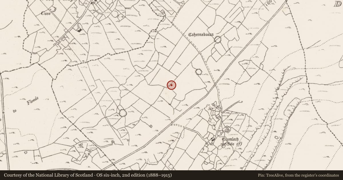 Ordnance Survey six-inch map, 2nd edition (1888–1915) covering the location of Enclosure, Ballycahill, County Clare, with a pin at the register's coordinates