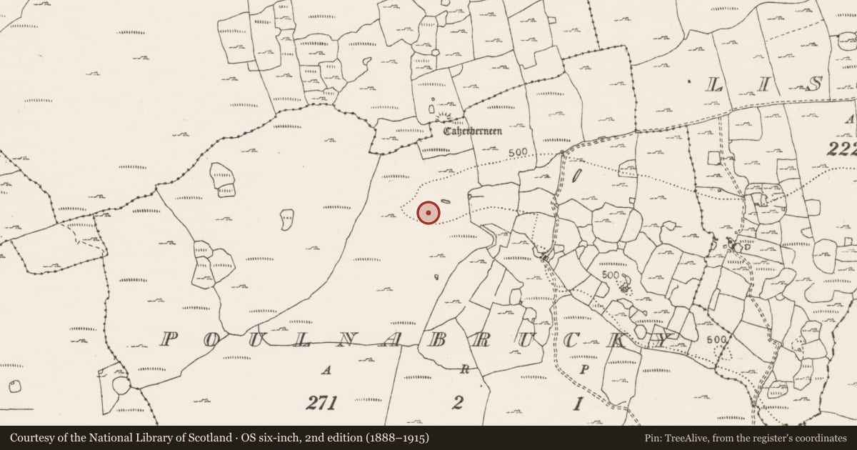 Ordnance Survey six-inch map, 2nd edition (1888–1915) covering the location of Enclosure, Poulnabrucky, County Clare, with a pin at the register's coordinates