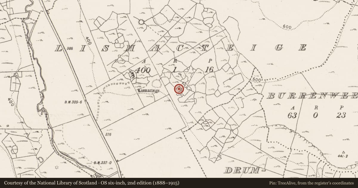 Ordnance Survey six-inch map, 2nd edition (1888–1915) covering the location of Ringfort - cashel, Lismacteige, County Clare, with a pin at the register's coordinates