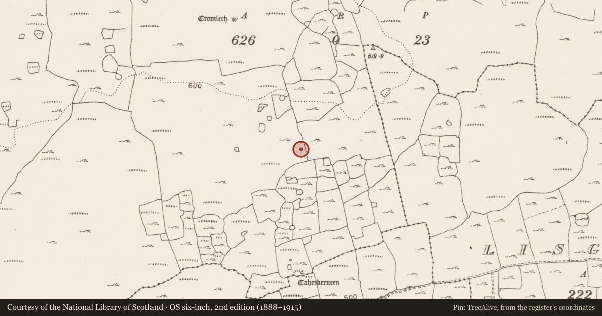 Ordnance Survey six-inch map, 2nd edition (1888–1915) covering the location of Megalithic tomb - wedge tomb, Berneens, County Clare, with a pin at the register's coordinates