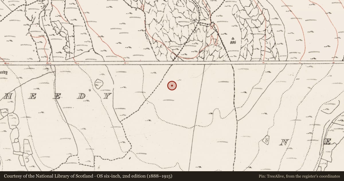 Ordnance Survey six-inch map, 2nd edition (1888–1915) covering the location of Cairn - unclassified, Lismacteige, County Clare, with a pin at the register's coordinates