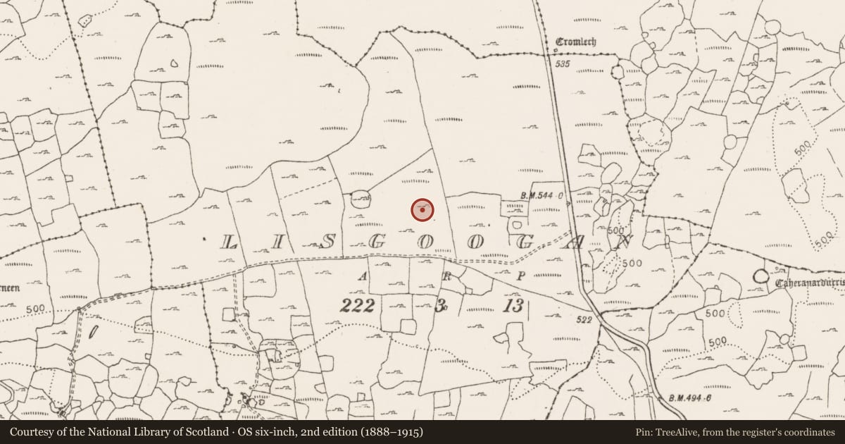 Ordnance Survey six-inch map, 2nd edition (1888–1915) covering the location of Cist, County Clare, with a pin at the register's coordinates