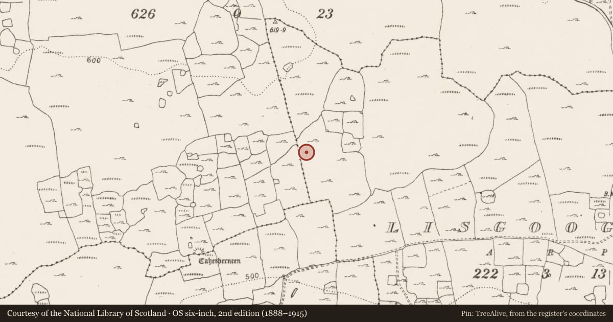 Ordnance Survey six-inch map, 2nd edition (1888–1915) covering the location of Cairn - unclassified, Lisgoogan, County Clare, with a pin at the register's coordinates
