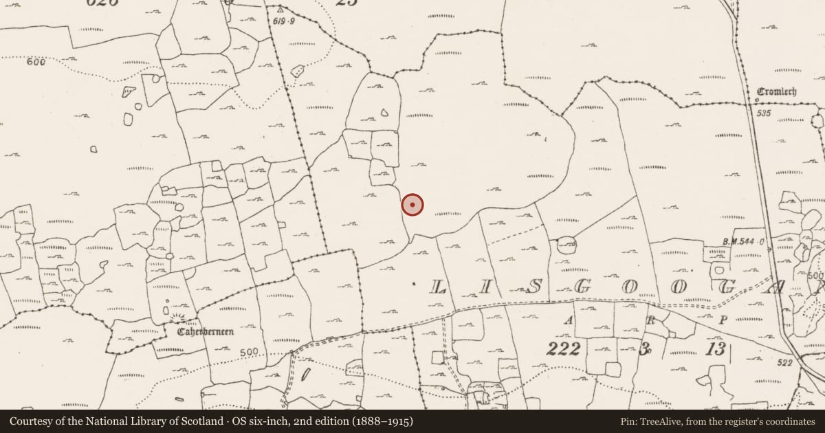 Ordnance Survey six-inch map, 2nd edition (1888–1915) covering the location of House - indeterminate date, Lisgoogan, County Clare, with a pin at the register's coordinates