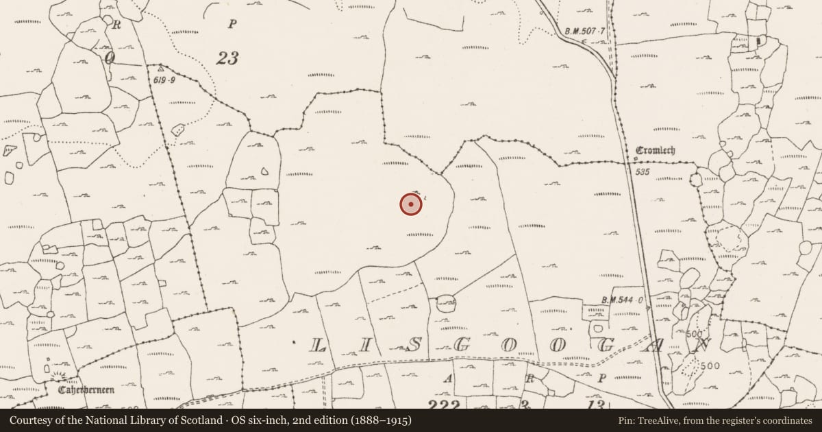 Ordnance Survey six-inch map, 2nd edition (1888–1915) covering the location of Megalithic tomb - wedge tomb, Lisgoogan, County Clare, with a pin at the register's coordinates