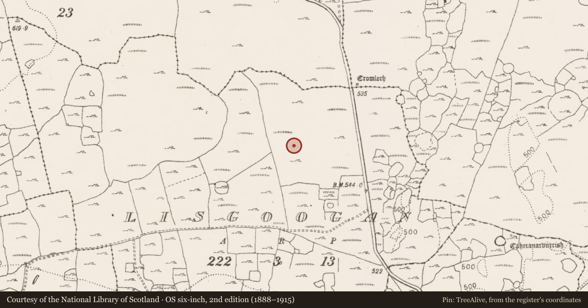 Ordnance Survey six-inch map, 2nd edition (1888–1915) covering the location of Cist, Lisgoogan, County Clare, with a pin at the register's coordinates