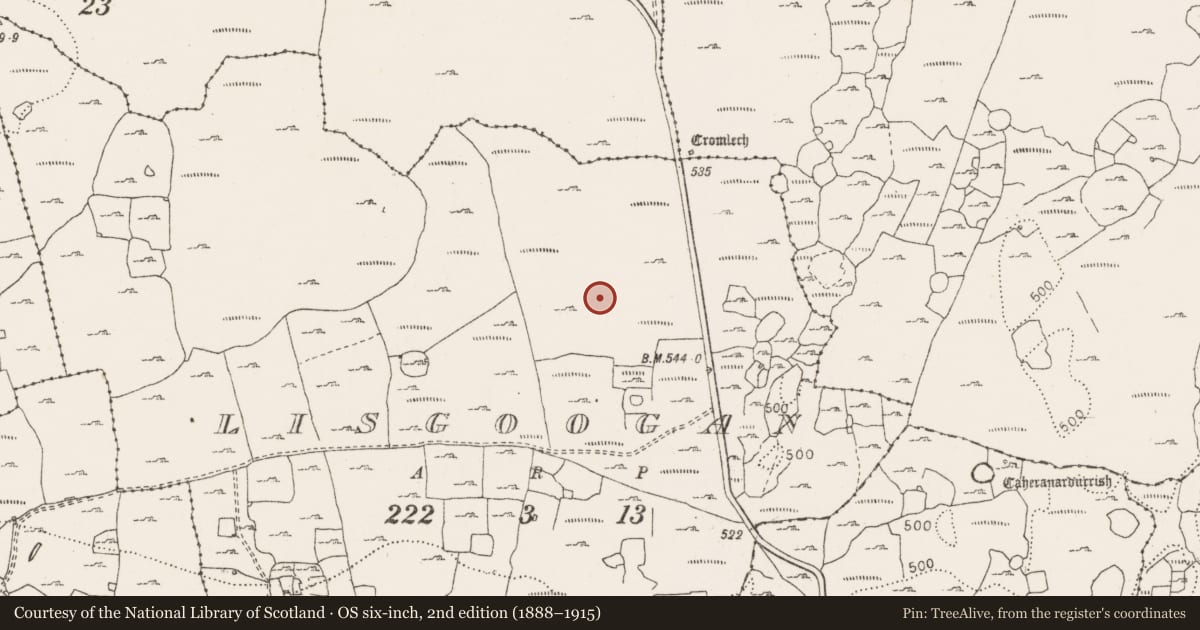 Ordnance Survey six-inch map, 2nd edition (1888–1915) covering the location of Cist, Lisgoogan, County Clare, with a pin at the register's coordinates