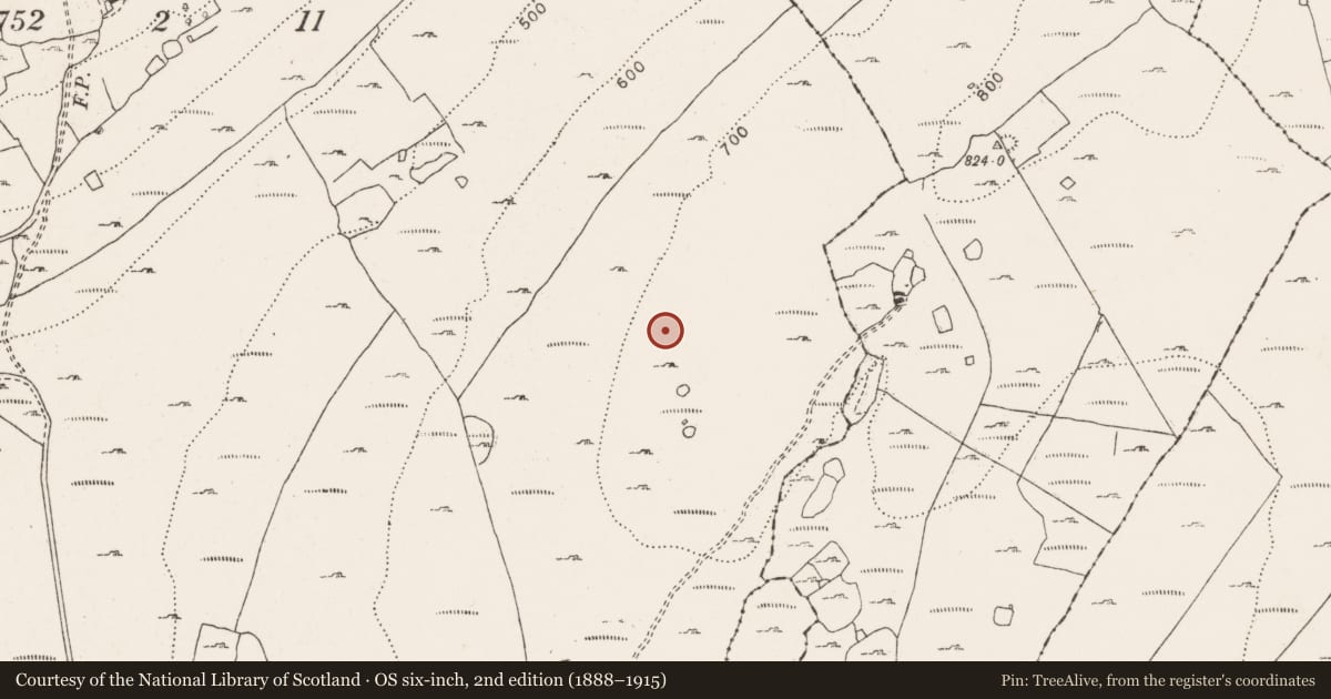 Ordnance Survey six-inch map, 2nd edition (1888–1915) covering the location of Cairn - unclassified, Ballyallaban, County Clare, with a pin at the register's coordinates