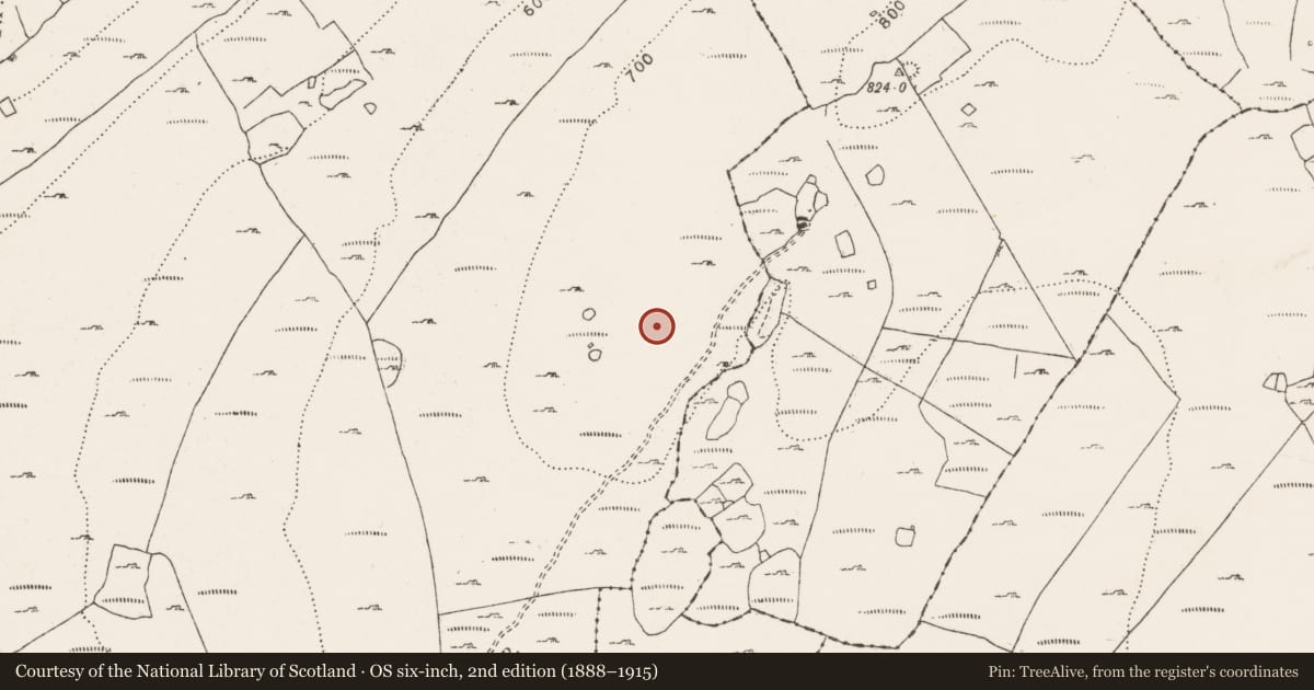 Ordnance Survey six-inch map, 2nd edition (1888–1915) covering the location of Cairn - burial cairn, Ballyallaban, County Clare, with a pin at the register's coordinates