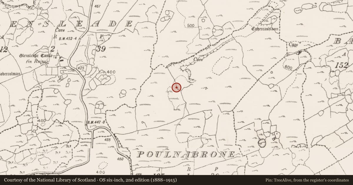 Ordnance Survey six-inch map, 2nd edition (1888–1915) covering the location of Enclosure, Poulnabrone, County Clare, with a pin at the register's coordinates