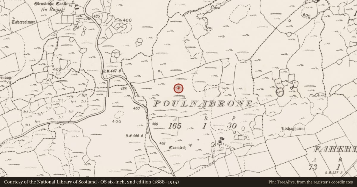 Ordnance Survey six-inch map, 2nd edition (1888–1915) covering the location of Field system, County Clare, with a pin at the register's coordinates