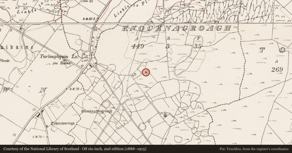 Ordnance Survey six-inch map, 2nd edition (1888–1915) covering the location of Enclosure, Knocknagroagh, County Clare, with a pin at the register's coordinates